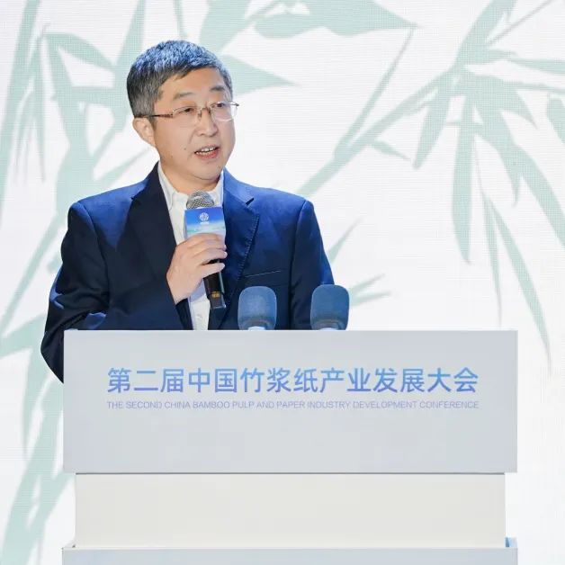 第二届中国竹浆纸产业发展大会罗建雄讲话