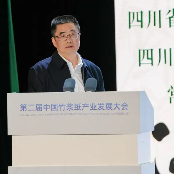 第二届中国竹浆纸产业发展大会范谋斌讲话
