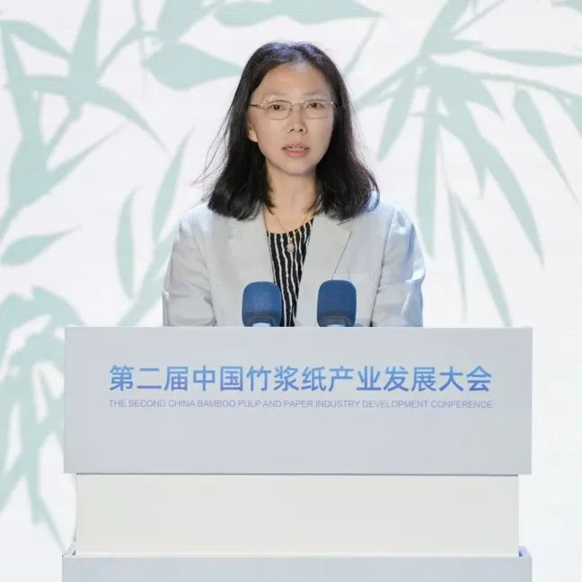 第二届中国竹浆纸产业发展大会李文莉讲话