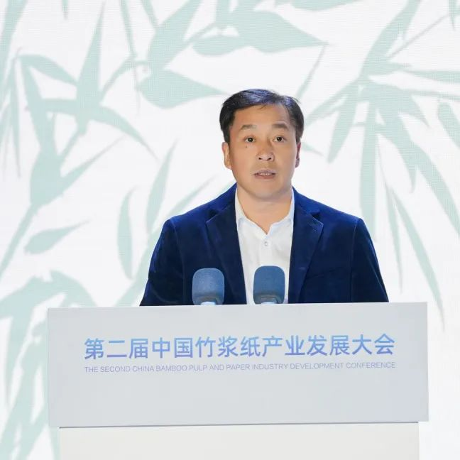 第二届中国竹浆纸产业发展大会刘勇讲话