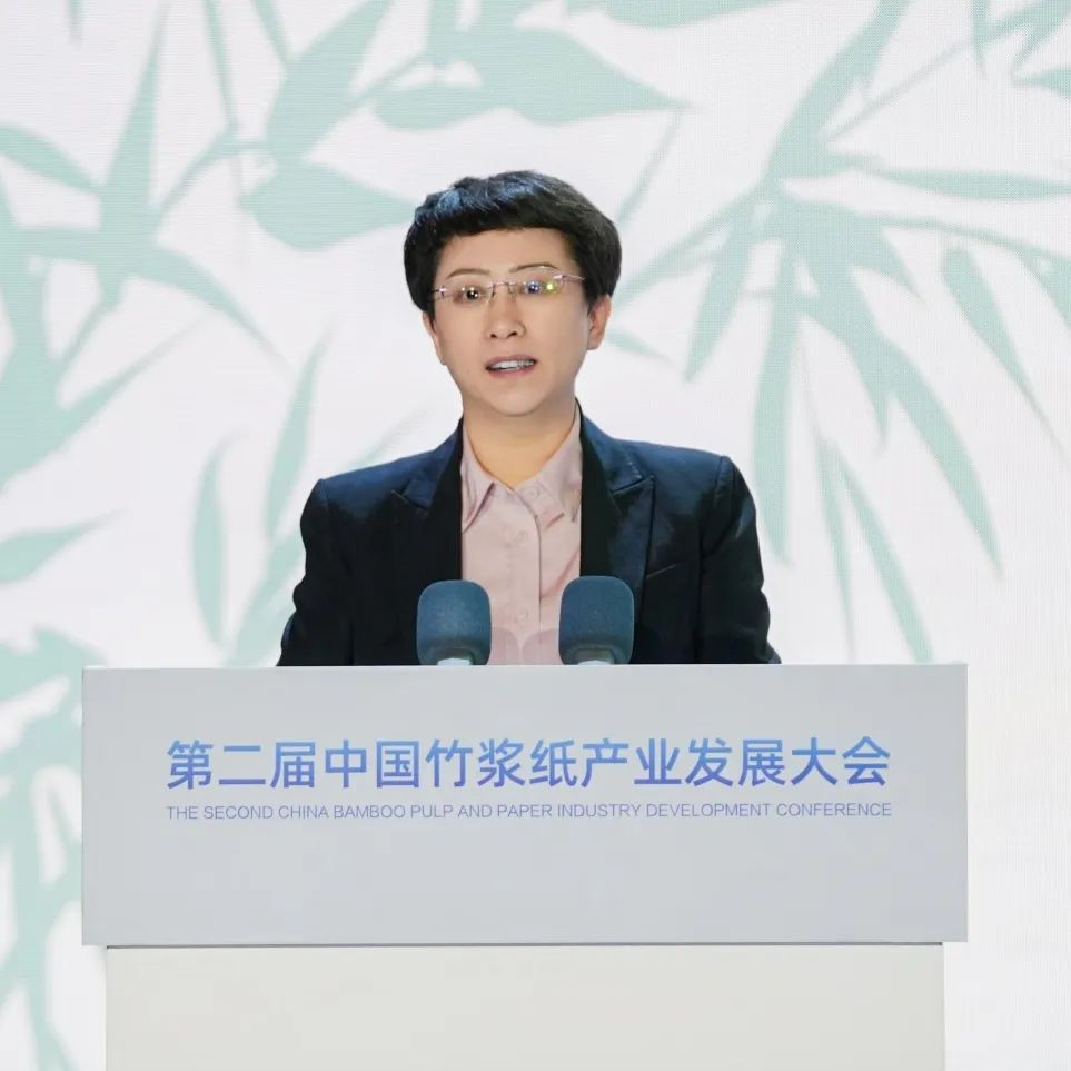 第二届中国竹浆纸产业发展大会孙波讲话