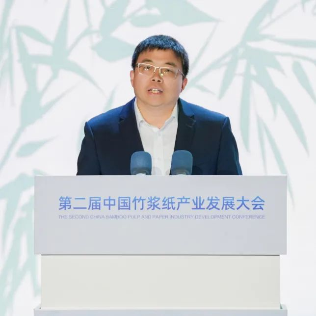 第二届中国竹浆纸产业发展大会吴亚东讲话