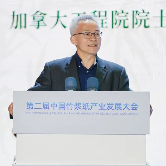第二届中国竹浆纸产业发展大会倪永浩讲话