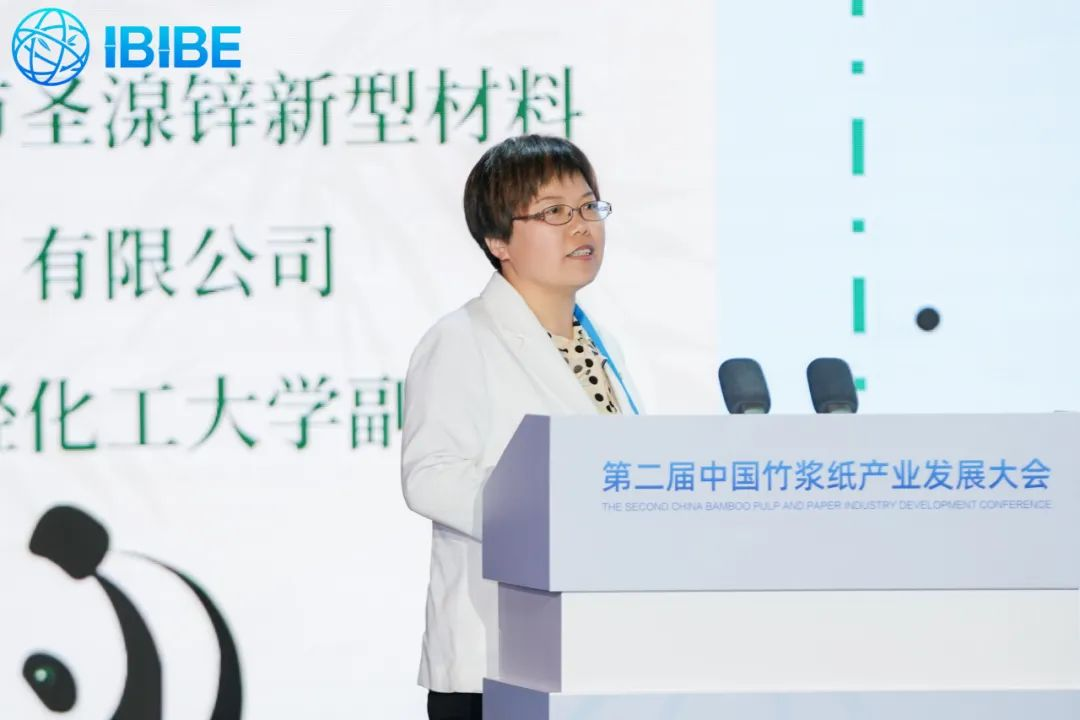 第二届中国竹浆纸产业发展大会高洪霞讲话