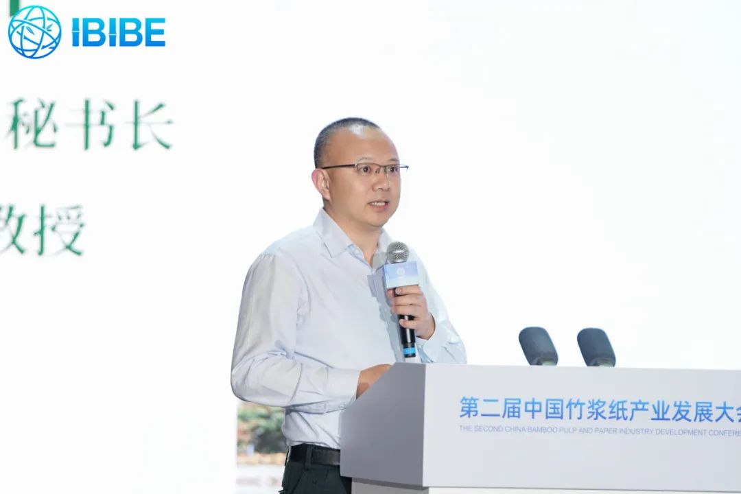 第二届中国竹浆纸产业发展大会曹石林讲话