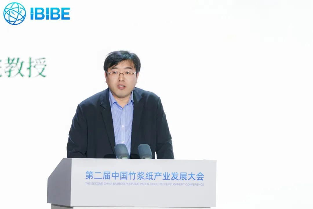 第二届中国竹浆纸产业发展大会许志远讲话